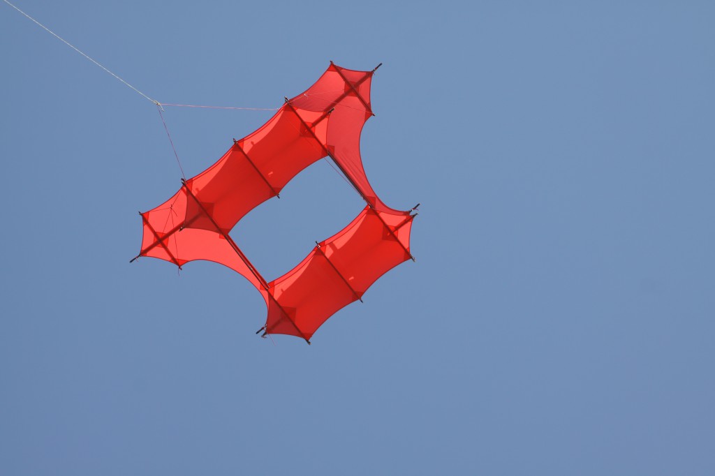 Onenigheid halfrond Detecteren Cody liefde | Jan Donkers vliegers, kites, drachen